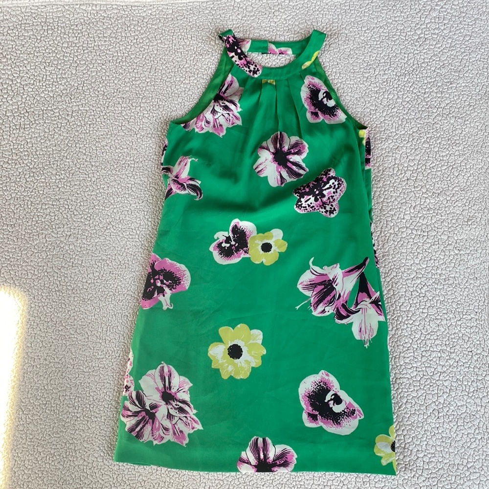 J. Crew dress